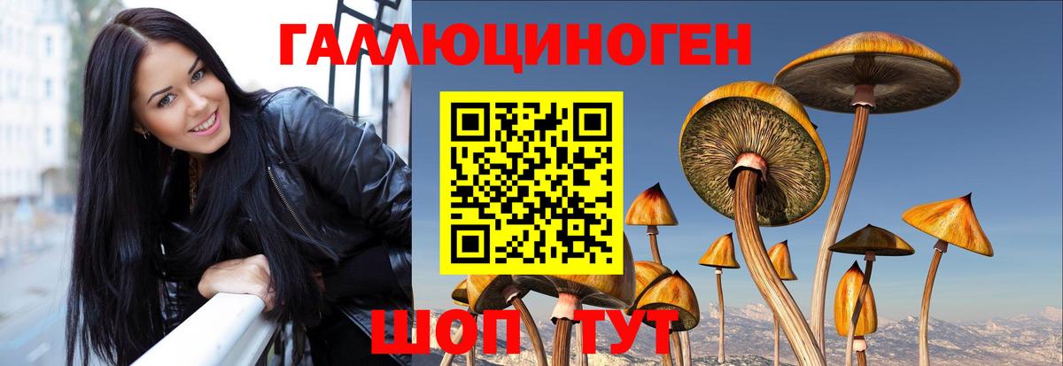 Псилоцибиновые грибы MAGIC MUSHROOMS  Галлюциногенные грибы мицелий  Ялуторовск  Вход с VPN 